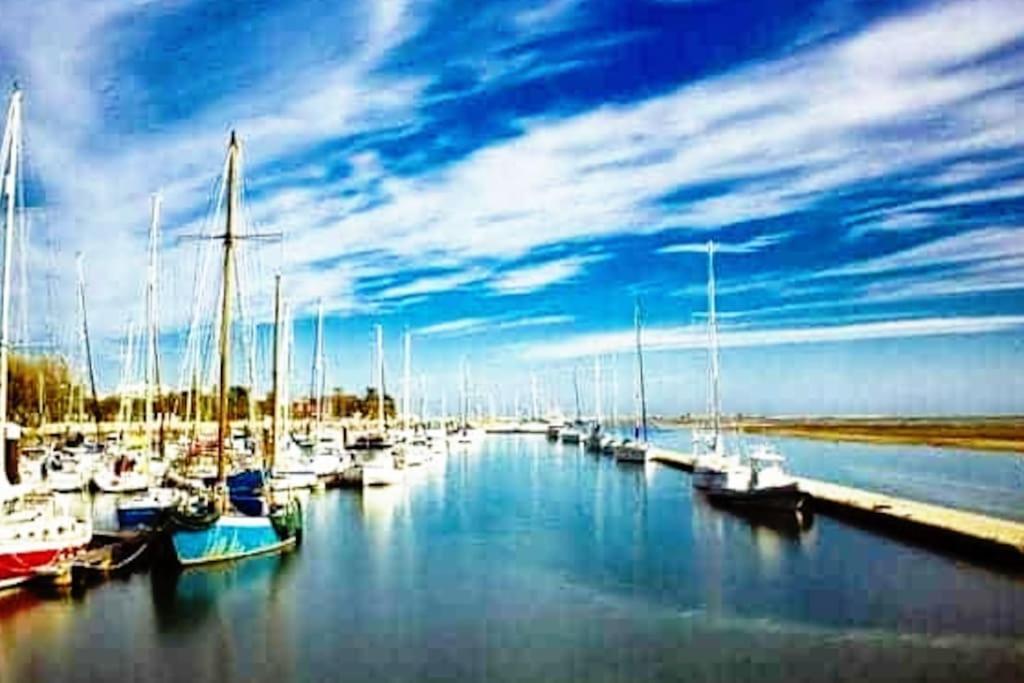A Gaivota Ria Formosa Waterfront Lux Apart With Pool, Olhao, Algarve Exteriör bild