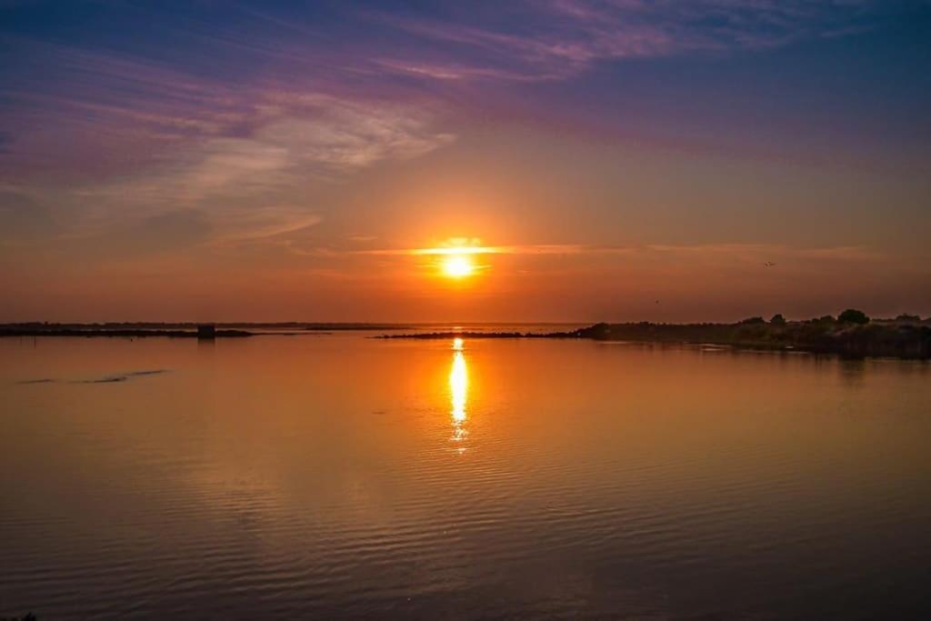 A Gaivota Ria Formosa Waterfront Lux Apart With Pool, Olhao, Algarve Exteriör bild
