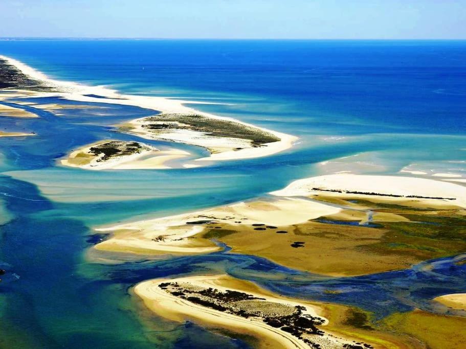 A Gaivota Ria Formosa Waterfront Lux Apart With Pool, Olhao, Algarve Exteriör bild
